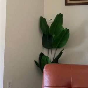 Meet your Posher, Muhammad